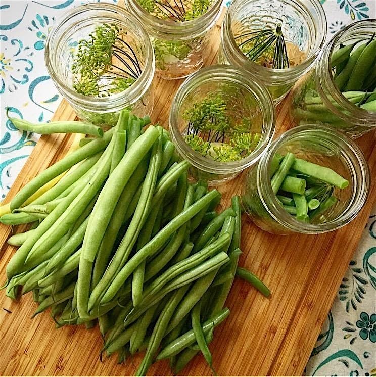 Basics of Canning - Dilly Beans