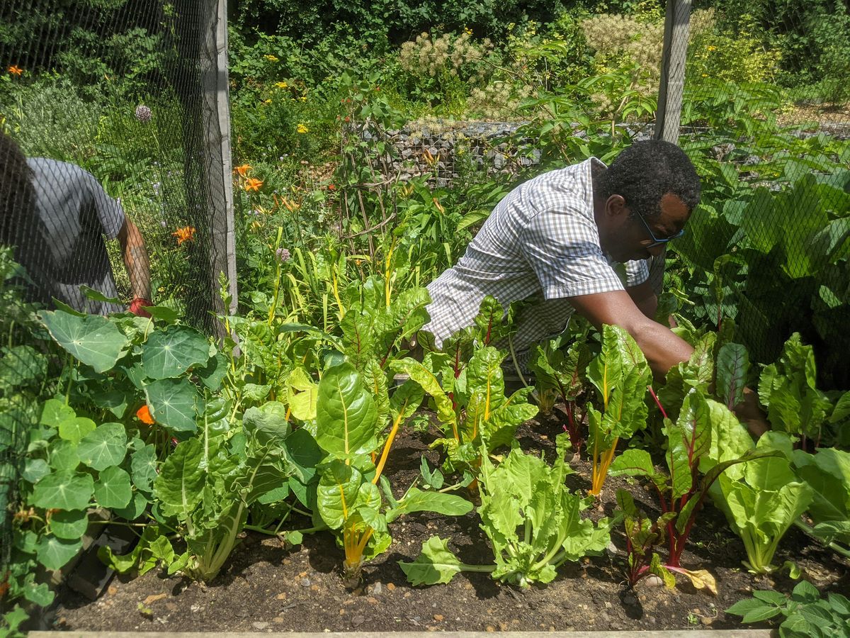 Volunteer Taster Session