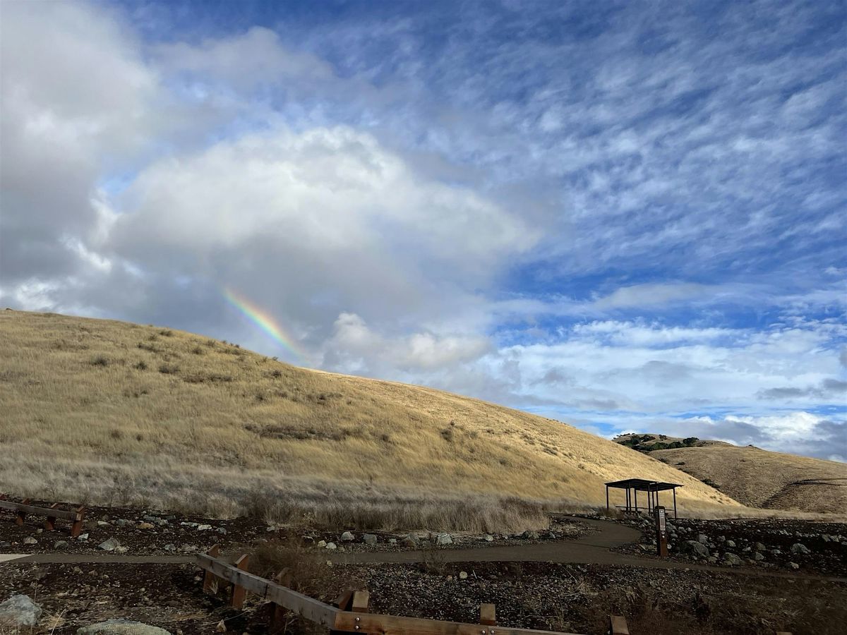 Birding at M\u00e1yyan 'Ooy\u00e1kma - Coyote Ridge Open Space Preserve!