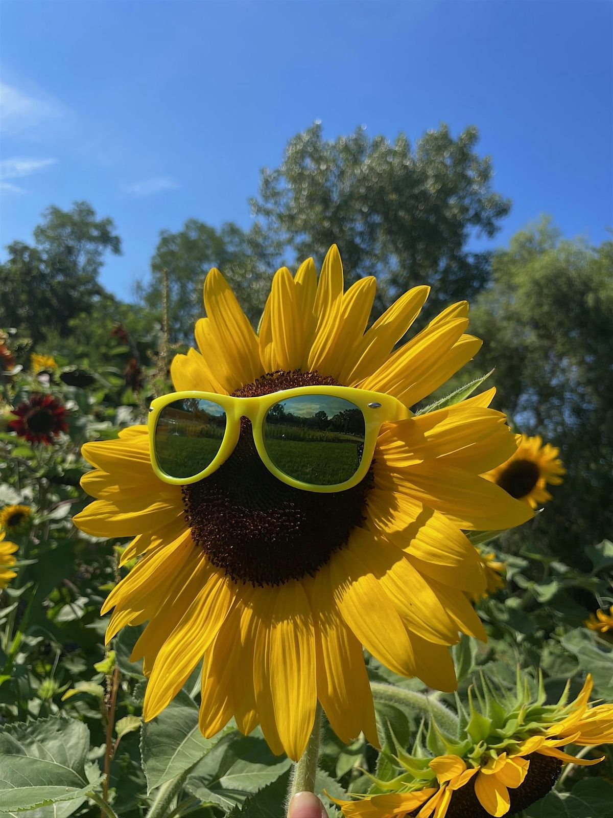 Autumn Adventures at Luna Bee Farm!