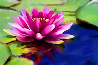 Integrative Health & Wellness Sessions- Community Program