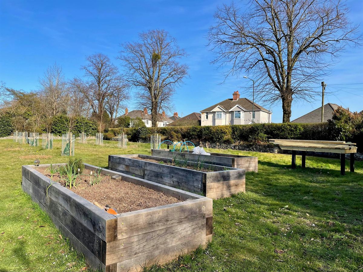 GreenFingers  - Community Growing at Redhill Park