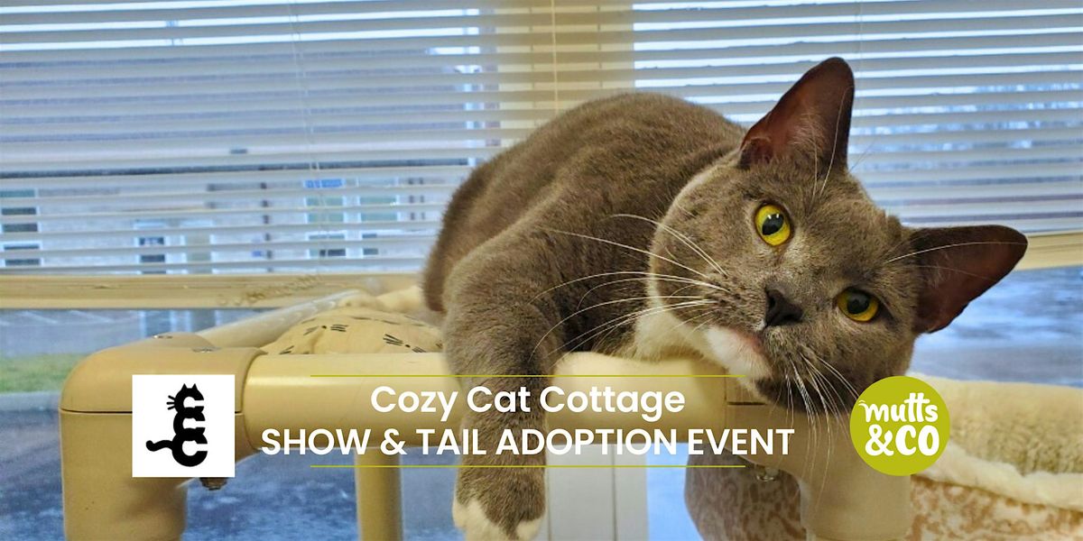 Show & Tail with Cozy Cat Cottage (Graceland)