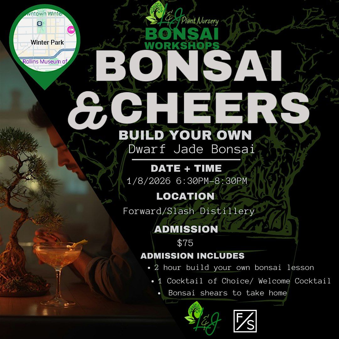 Bonsai & Cheers -Forward\/Slash - L&J Nursery - Dwarf Jade