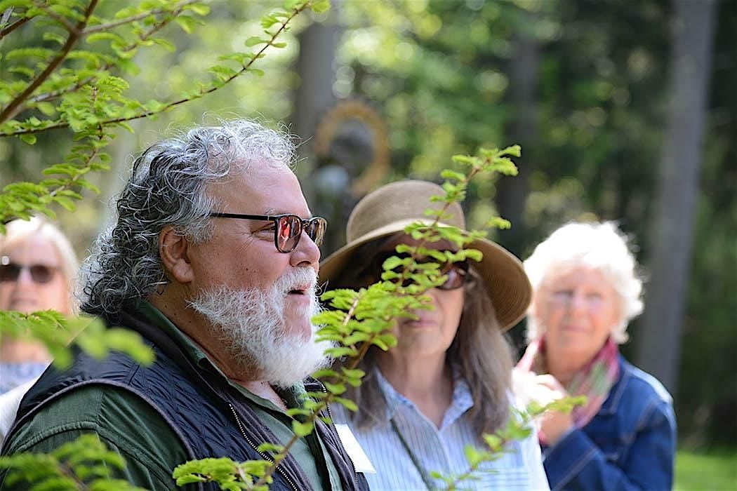 Foraging and Herbalism Walk with John Forti