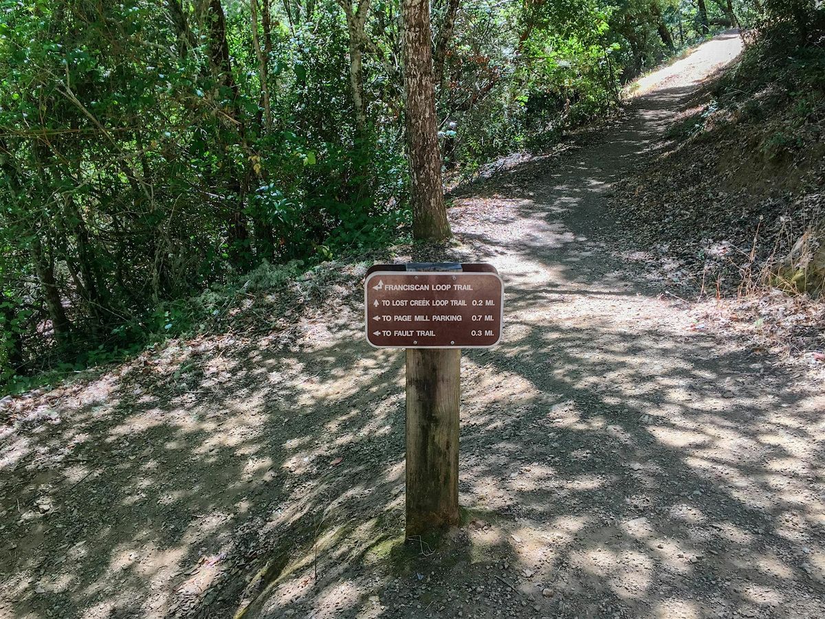 A Hike on Shaky Ground