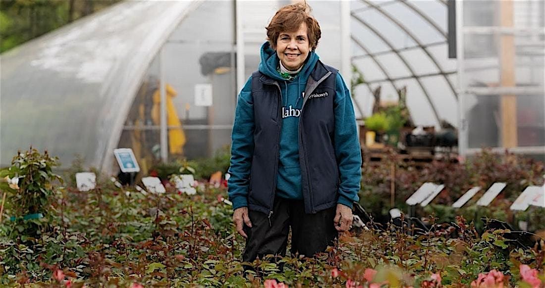 Winterizing Your Roses at Mahoney's Brighton