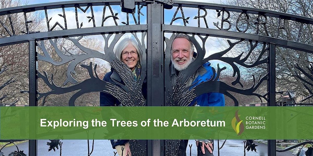 Exploring the Trees of the Arboretum at F.R. Newman Arboretum, Ithaca ...