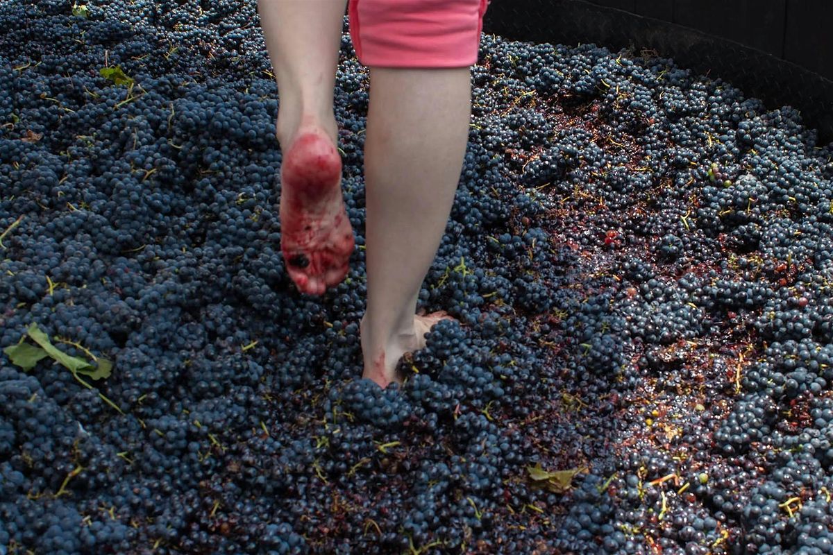 Women Who Explore SW Wisconsin Grape Stomp at Baileys Run Winery
