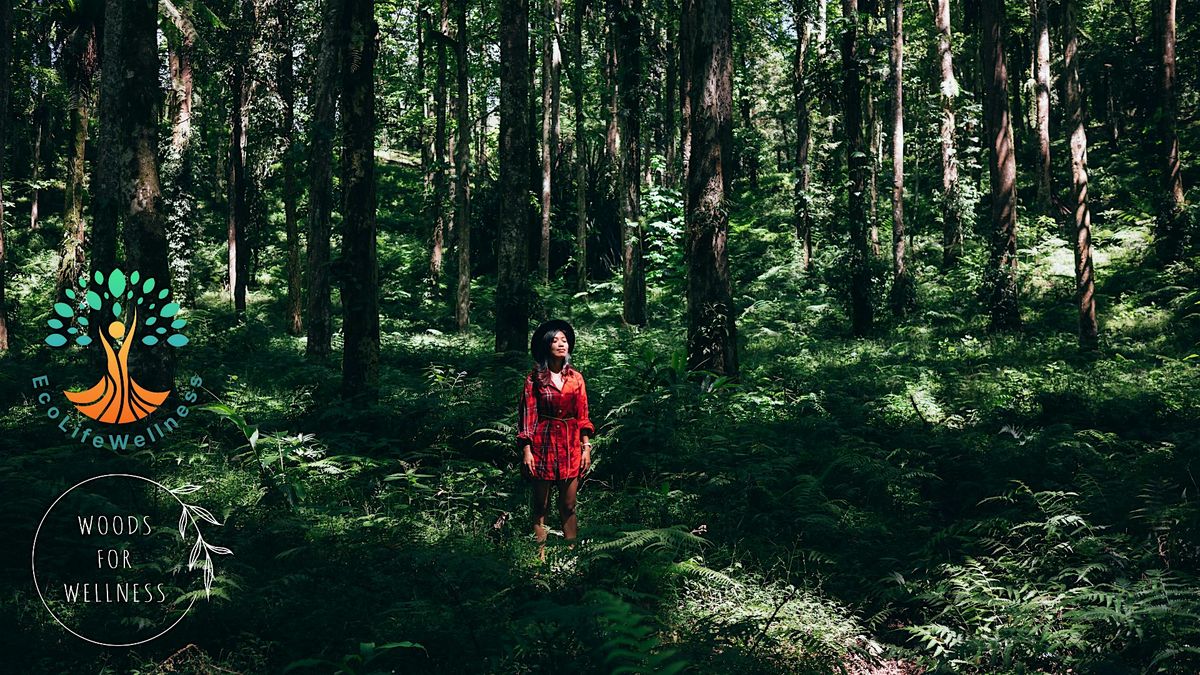 Mindful Ecotherapy Autumn Day Retreats