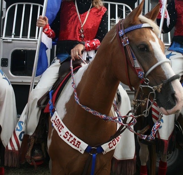 Brazos Valley Fair and Rodeo
