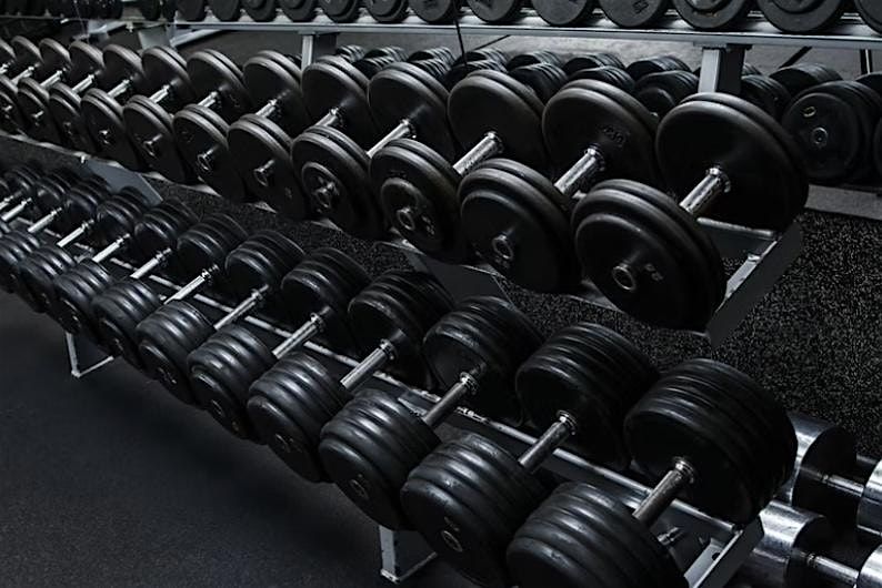 Program & Exercise Design for Personal Trainers