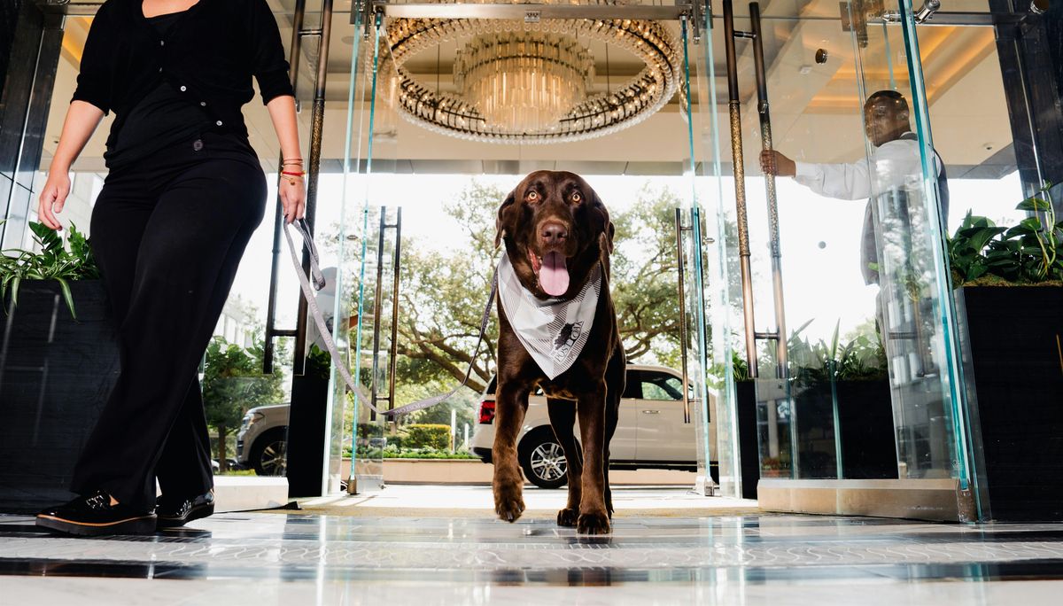 Adoption Event With BARC at The Post Oak Hotel