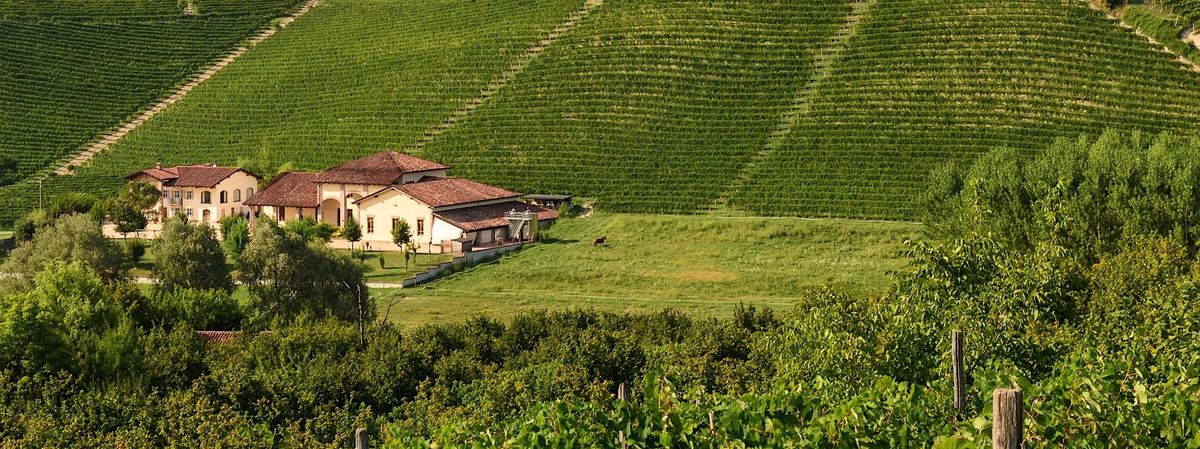 Wine Dinner with La Spinetta