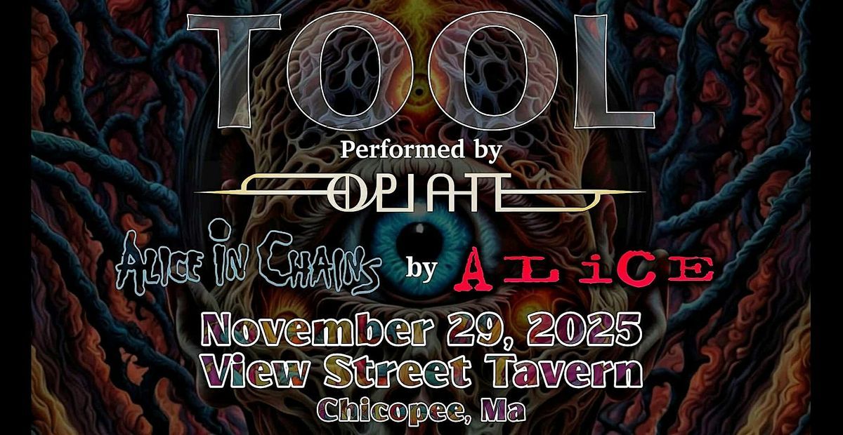 TOOL &AIC Tribute Night @ View Street Tavern