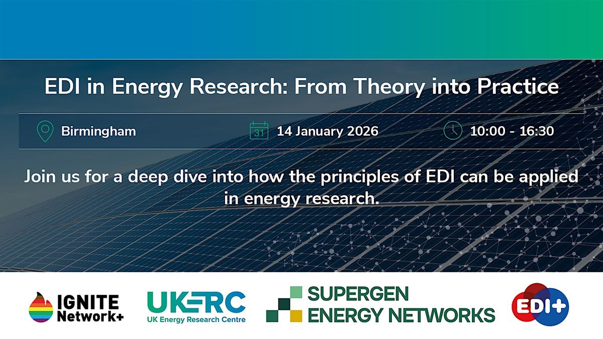 EDI in Energy Research: From Theory into Practice