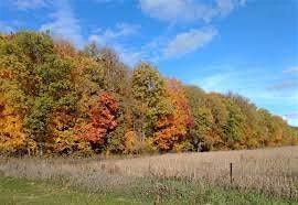 Nature Connected Professionals: Fall Gathering 2025