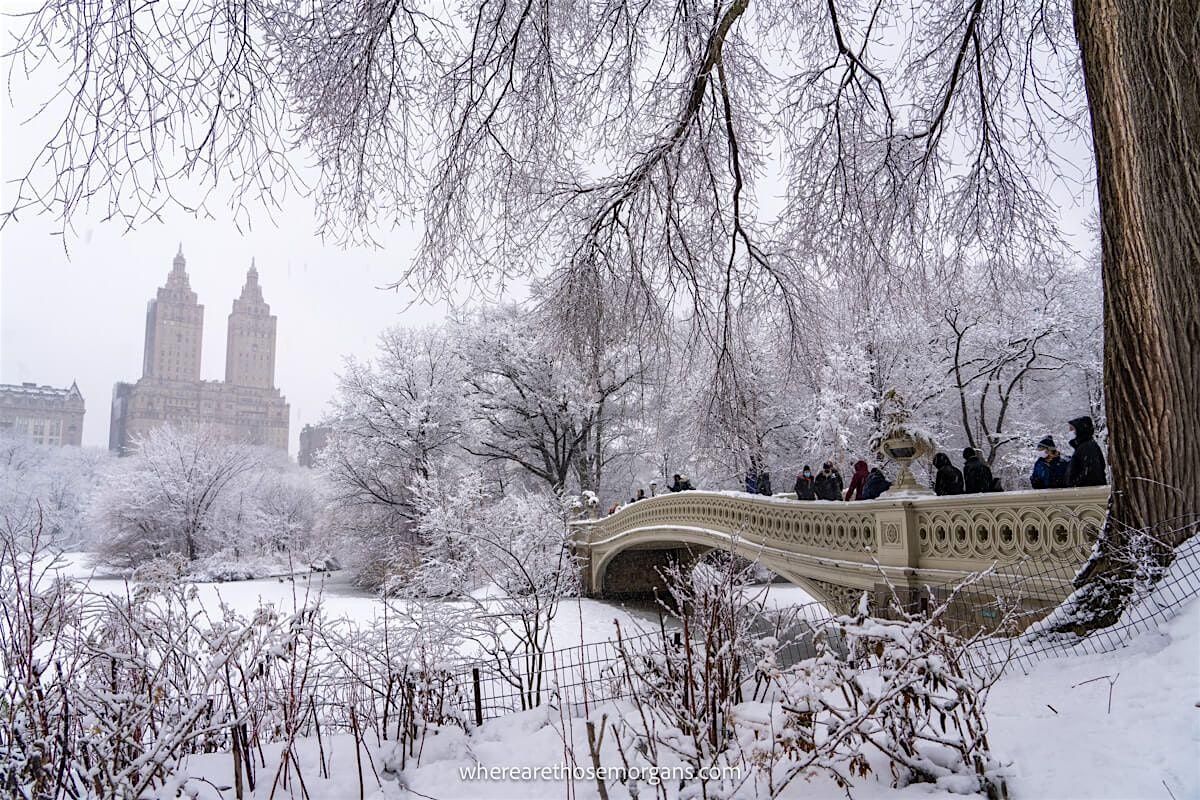Central Park Social Walk (50s & Over)