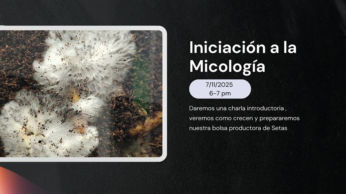 Iniciaci\u00f3n a la micolog\u00eda - Charla y taller de cultivo