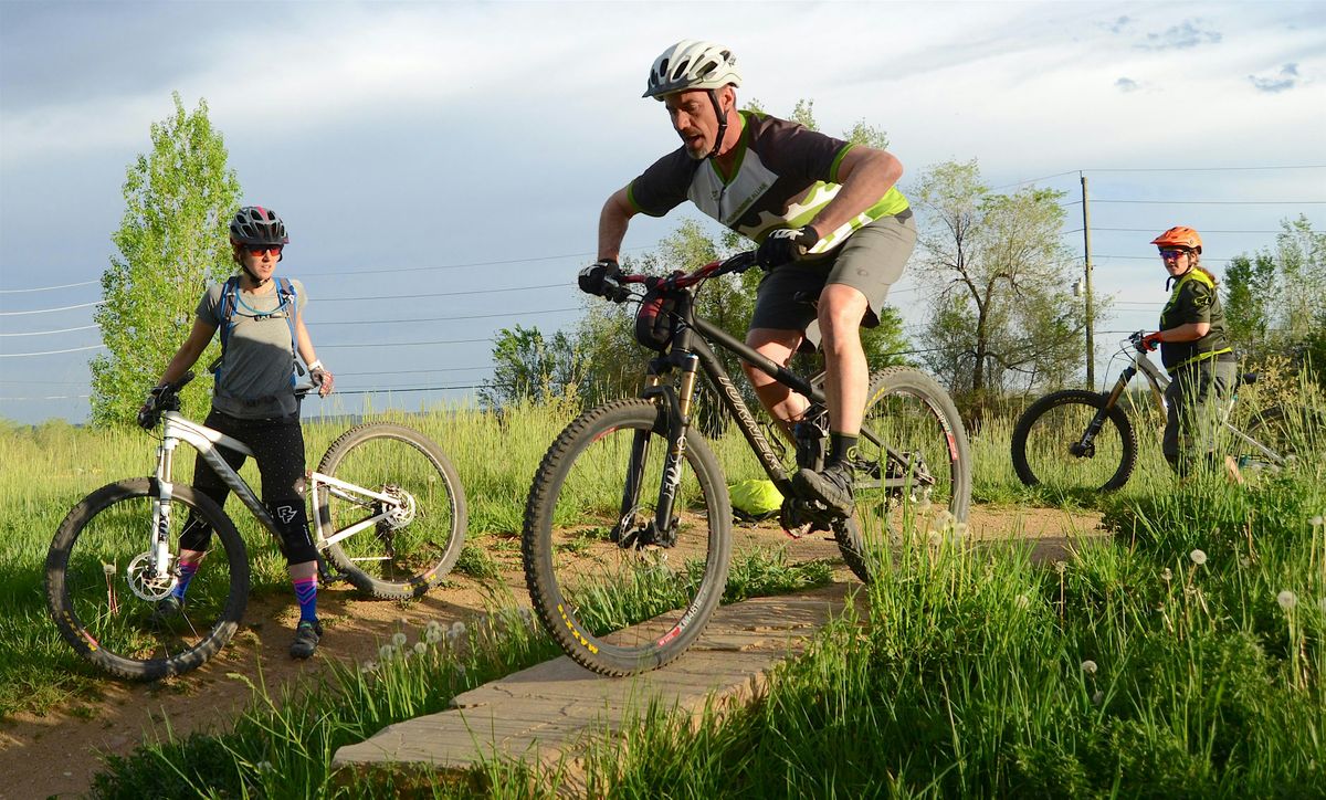 BMA Skills Clinic - Foundations: Intermediate