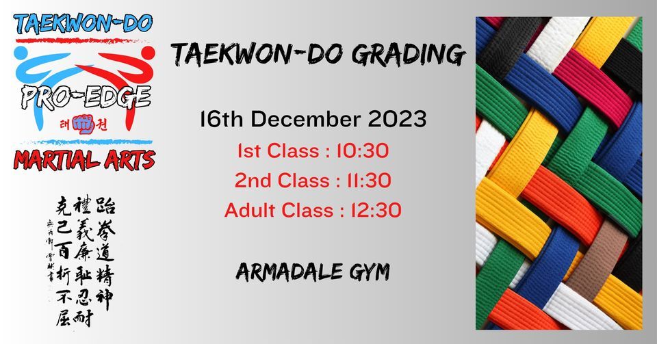 TaekwonDo Grading Master Blair ProEdge Martial Arts & Fitness