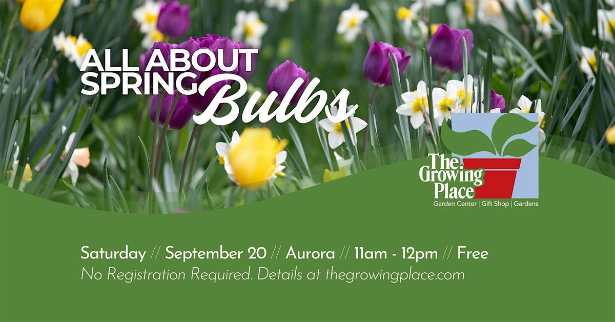 All About Spring Bulbs