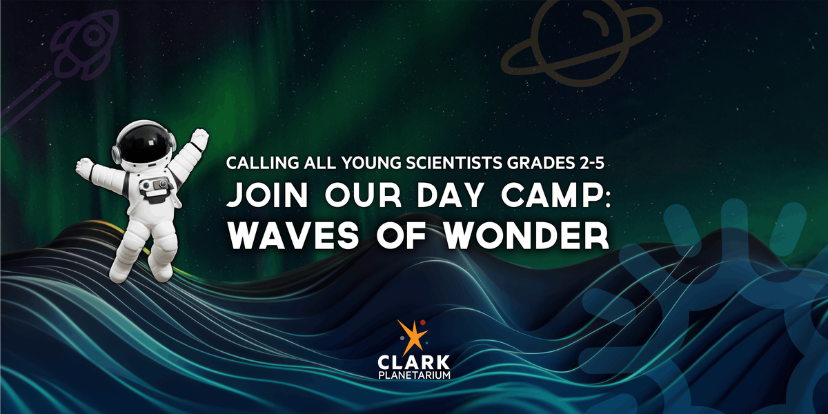 Day Camp: Waves of Wonder