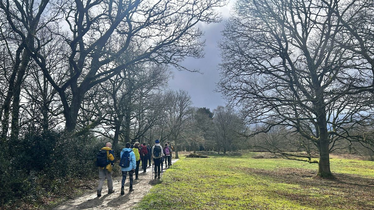Chilham to Canterbury, visiting Christmas market in the medieval centre
