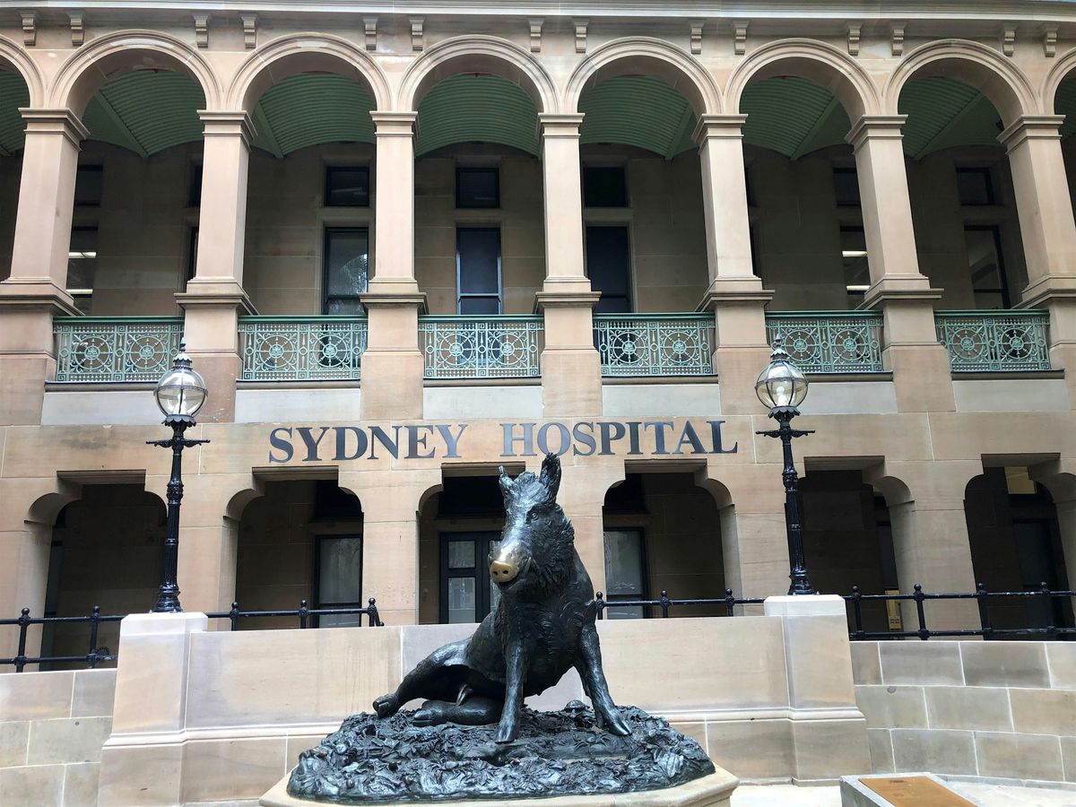 Sydney Eye Hospital | Open Day