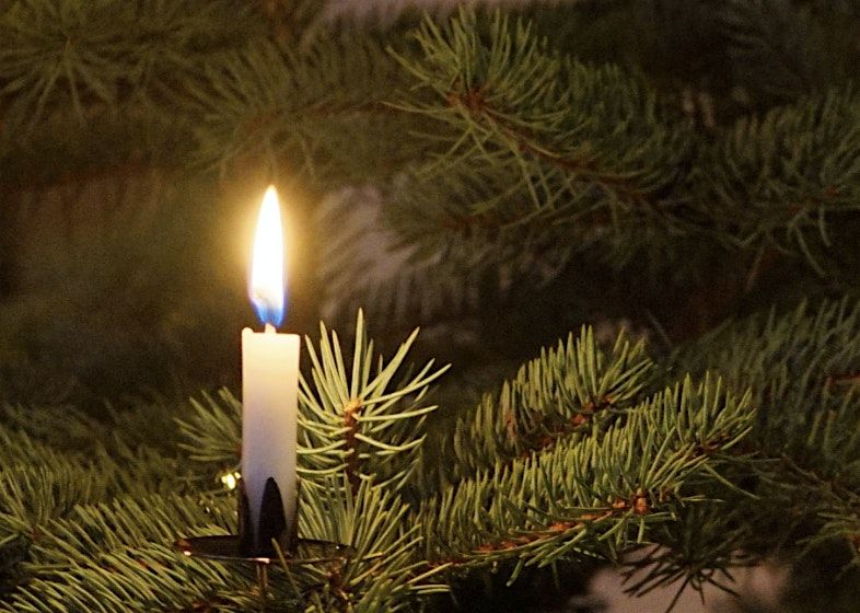 Dec 20 Winter Solstice Cacao & Plant Medicines Ceremony