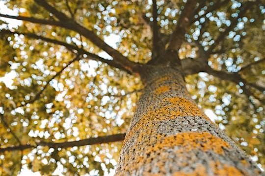 Exploring the Sacred in Nature