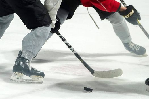 Pond Scum vs. Hazard | Michael A. Ries Ice Rink, Parma, OH | December Pond Scum vs. Hazard | Michael A. Ries Ice Rink, Parma, OH | December