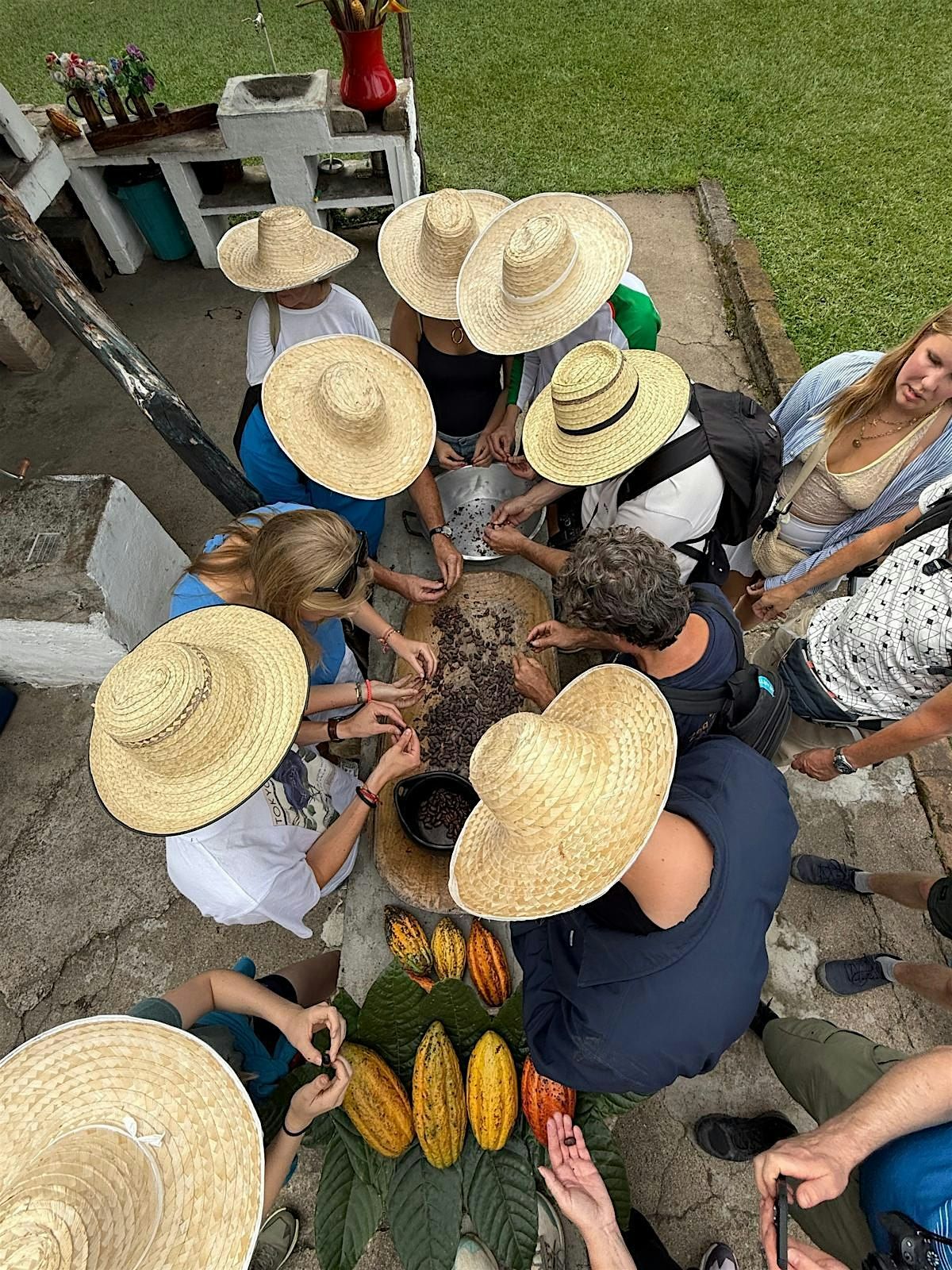 \u2728 Special Christmas: Breathwork &Colombian Cacao Experience + Static dance\u2728