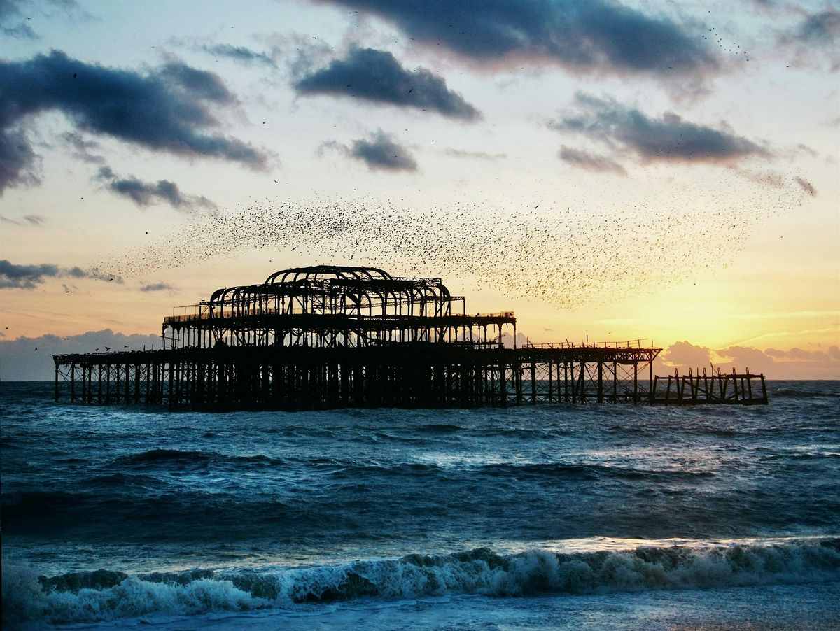 Brighton Algorand Meetup