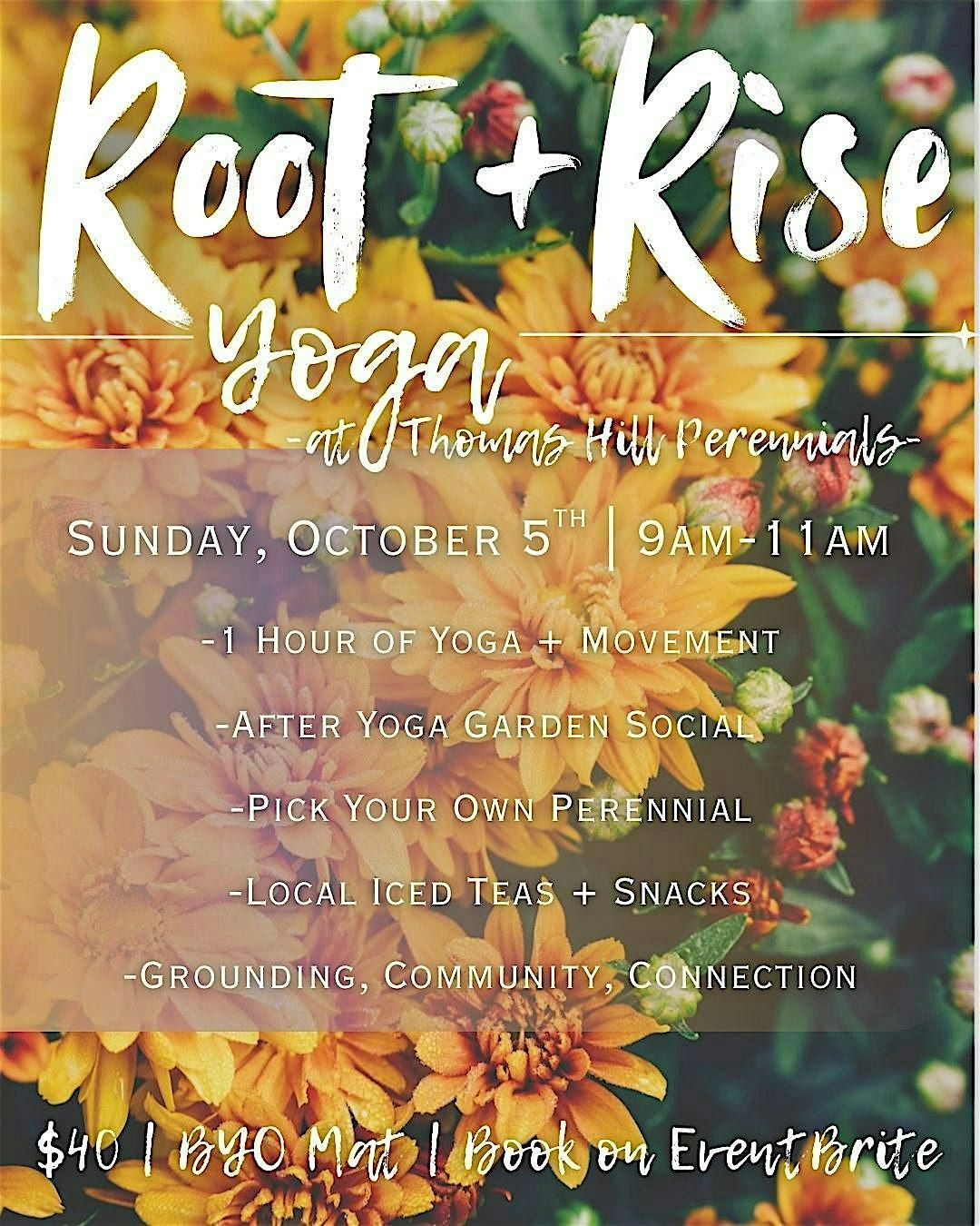 Root + Rise Yoga at Thomas Hill Perennials