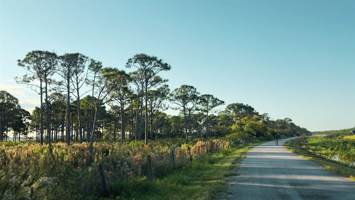 Birdsong & Breeze: Morning Walk on the Green River Parkway