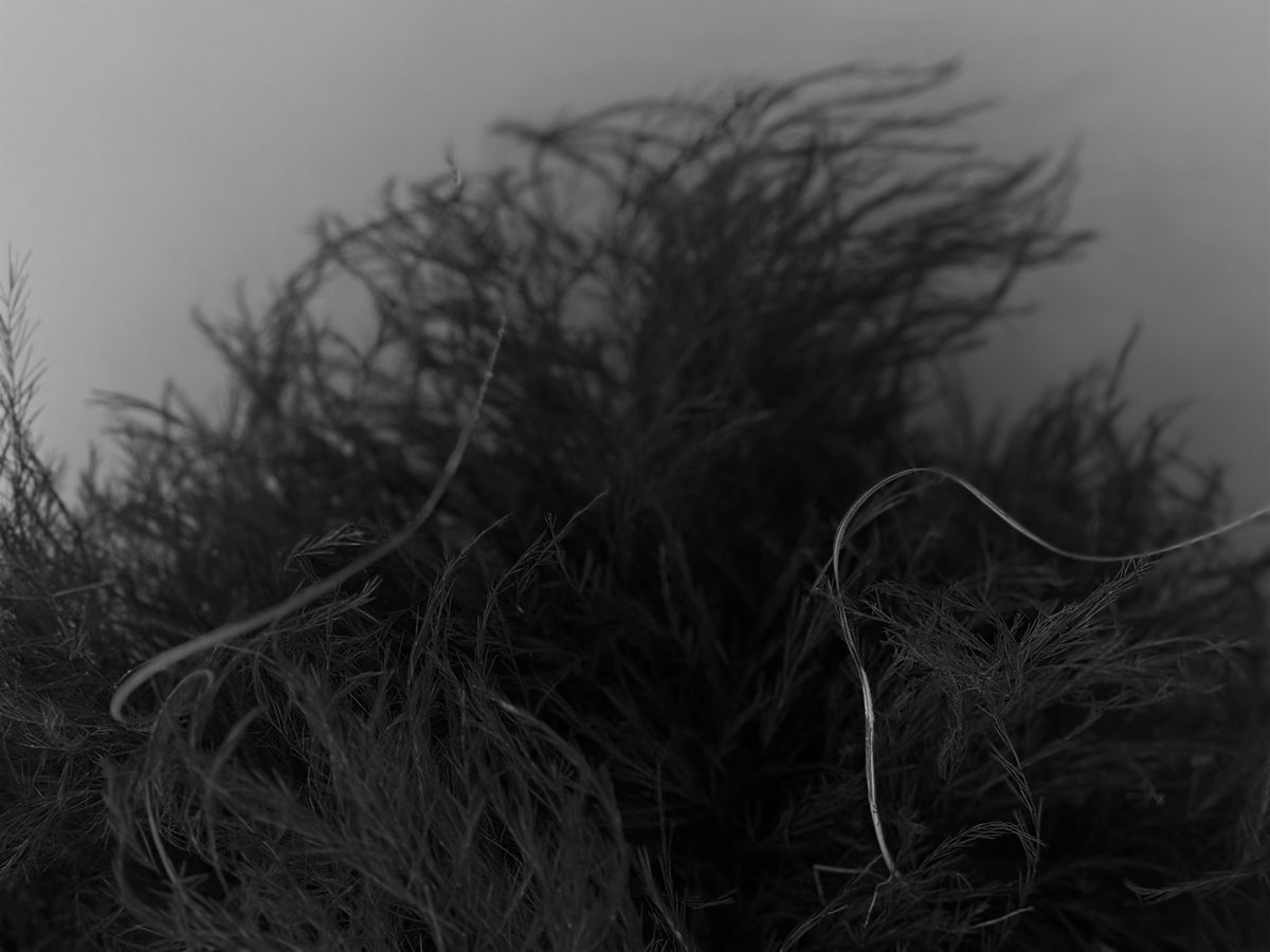 WILD WREATH WORKSHOP