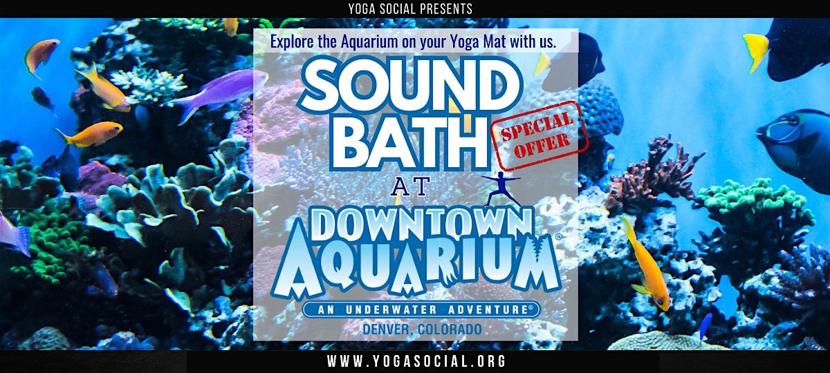 Sound Bath at the Downtown Aquarium in Denver with Yoga Social
