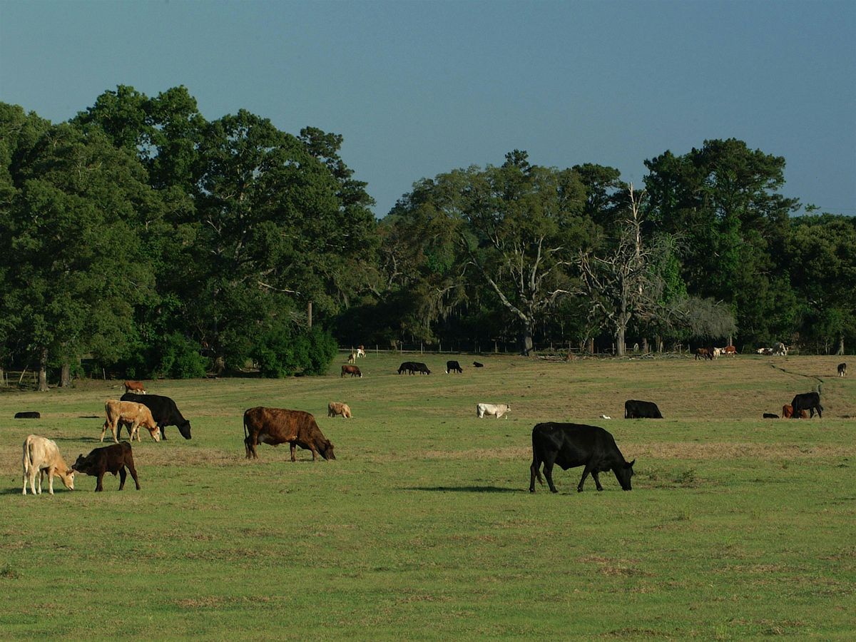 Herd Health Seminar