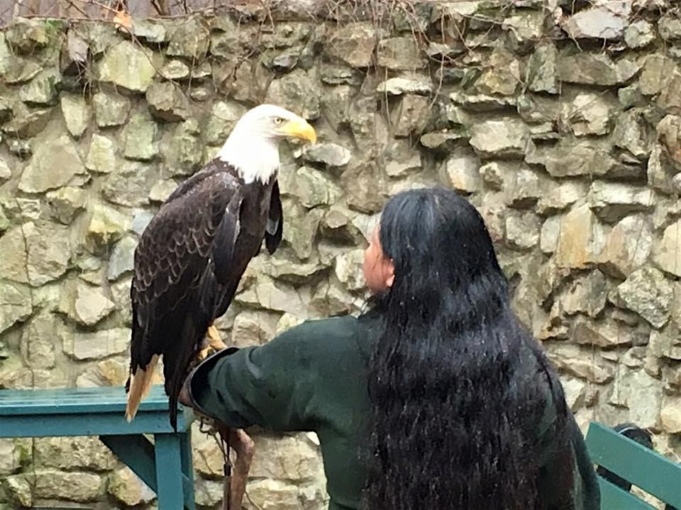 Wesselman Nature Preserve Wildlife Exploration