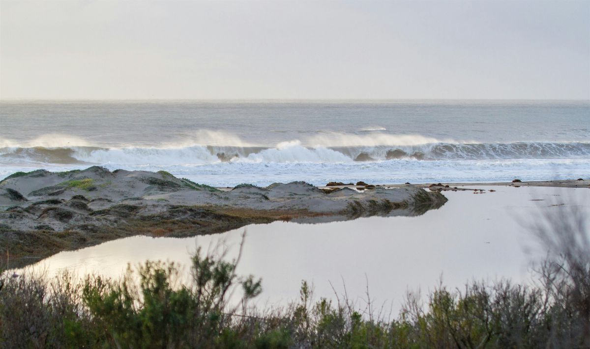 Tour of Coal Oil Point Reserve