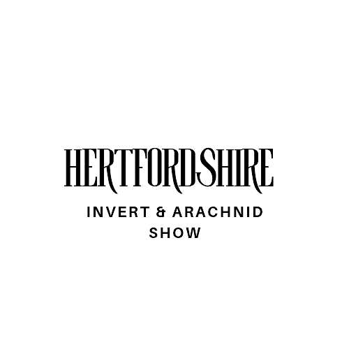 Hertfordshire Invert and Arachnid show