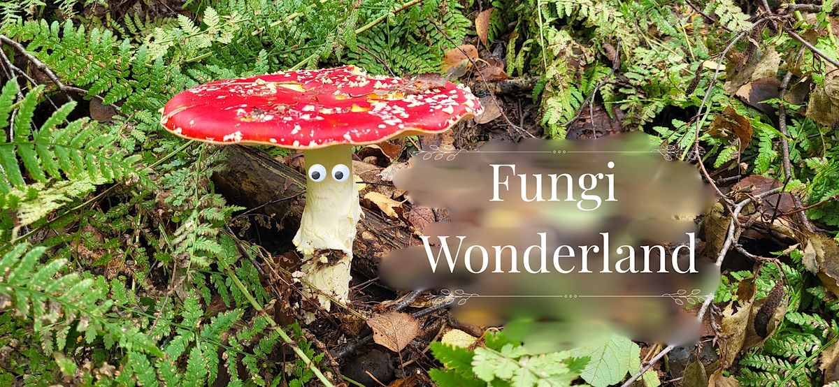 Halloween Mushroom foraging for All - Near city center!