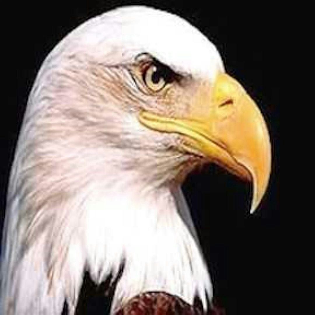 40th Annual Gathering of Eagles 2026