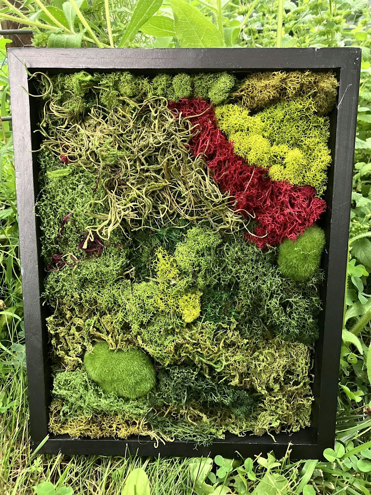 DIY Moss Art Class