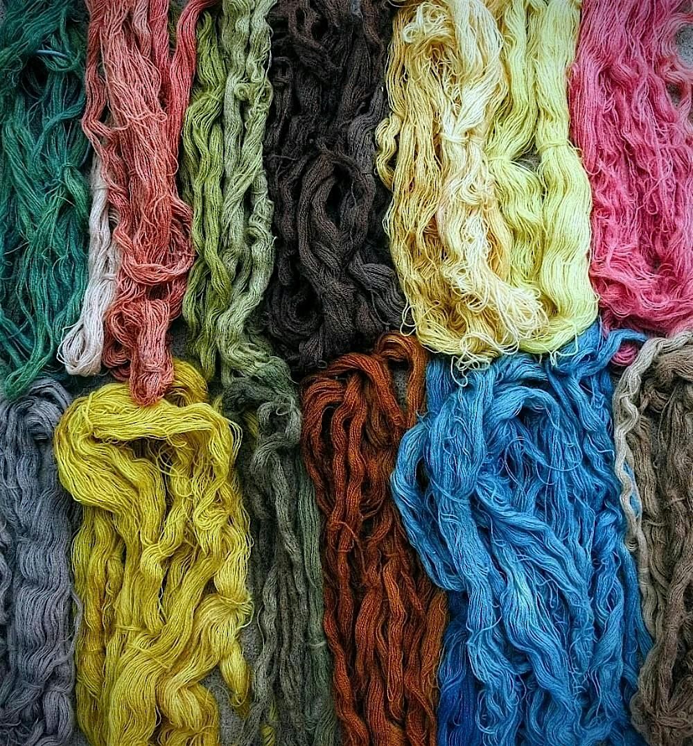 Mushroom & Lichen Dyes