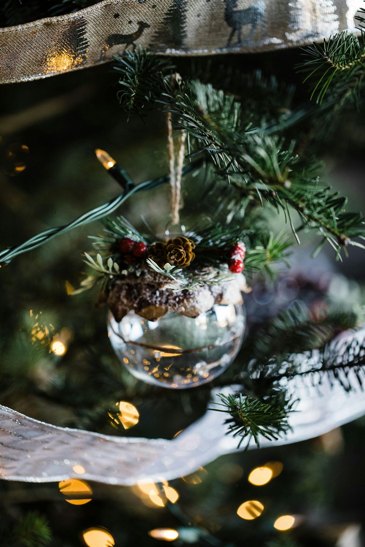 Light the Night - Tree Lighting at Hotel Domestique