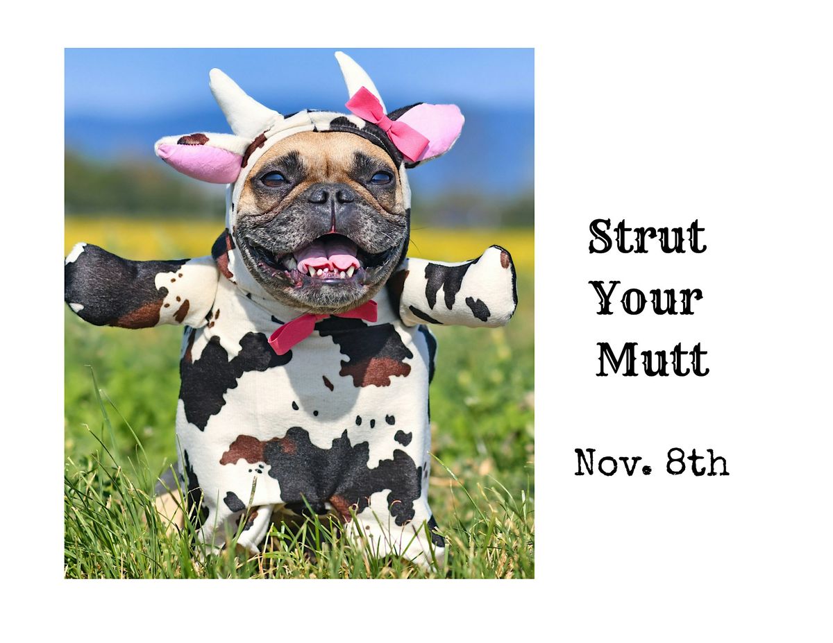 Strut Your Mutt
