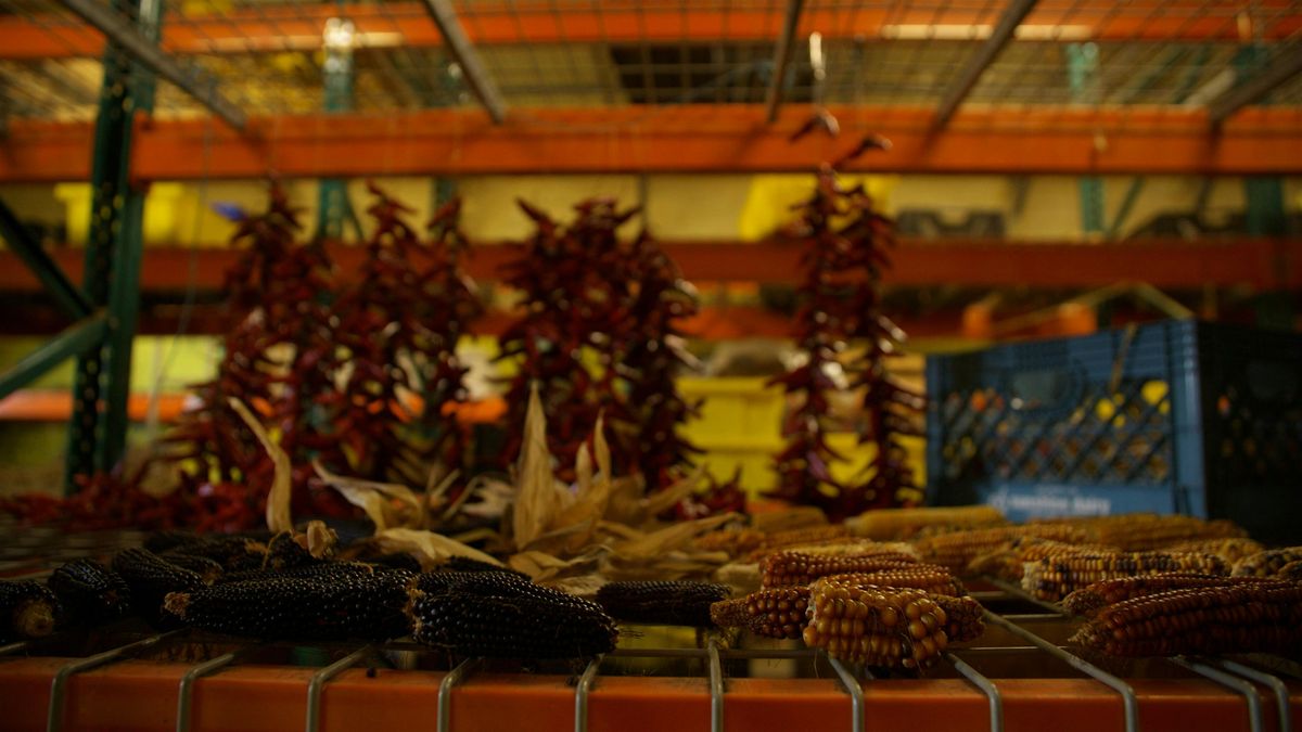 Scaling Up with Intention: Capital Readiness for Native Food & Ag Business