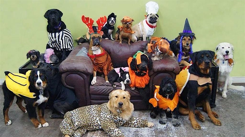 Doggie Costume Paw-ty!!